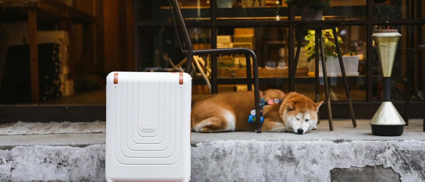 blog_9